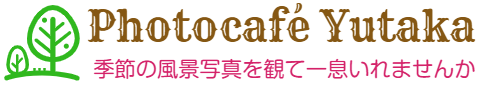 Photocafé Yutaka