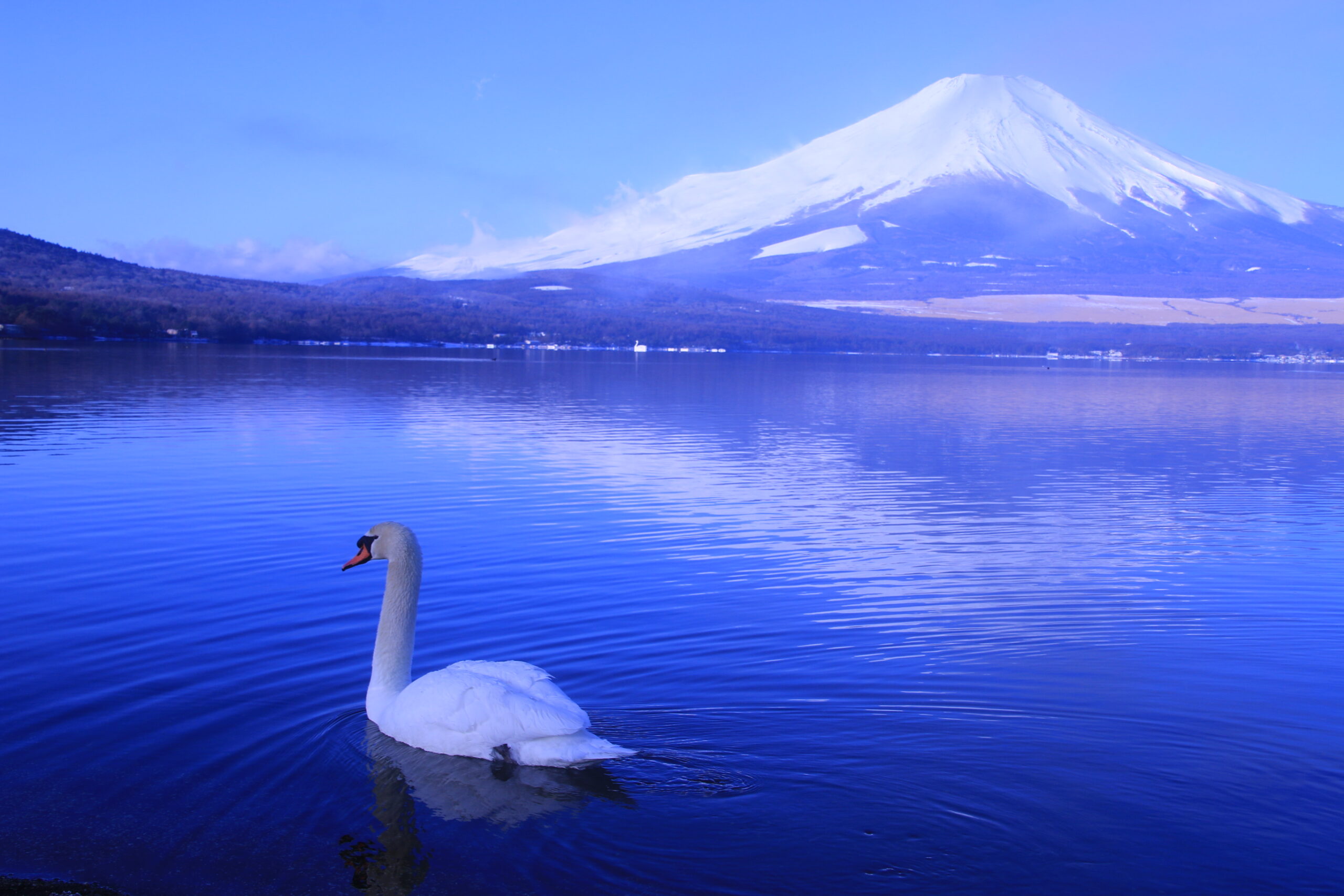 富士山の冬景 | Photocafé Yutaka